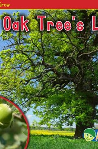 Cover of An Oak Trees Life (Watch it Grow)