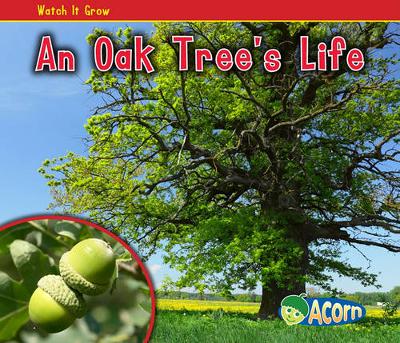 Book cover for Watch it Grow an Oak Trees Life