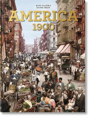 Book cover for America 1900