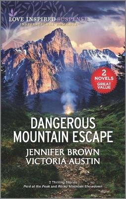 Book cover for Dangerous Mountain Escape