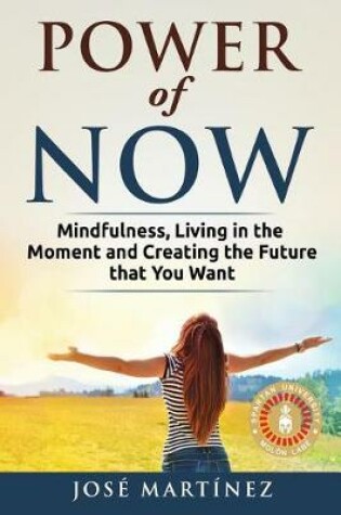 Cover of Power of Now