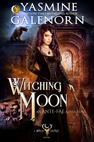 Cover of Witching Moon