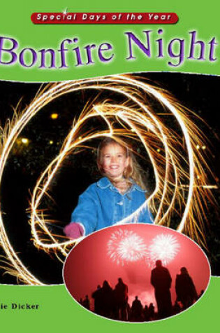 Cover of Bonfire Night