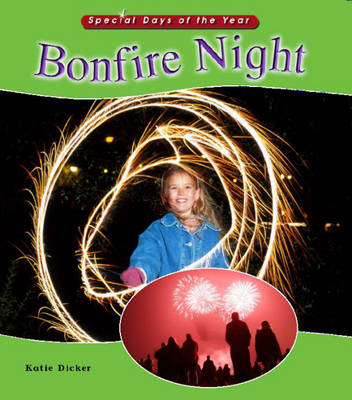 Book cover for Bonfire Night