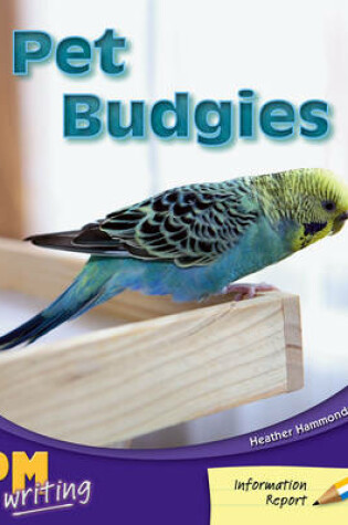 Cover of Pet Budgies
