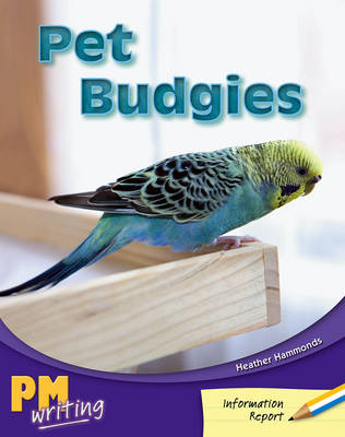 Book cover for Pet Budgies