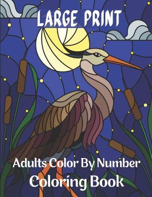 Book cover for Large Print Adults Color By Number Coloring Book