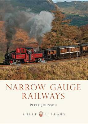 Book cover for Narrow Gauge Railways