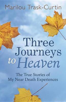 Cover of Three Journeys to Heaven