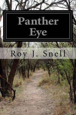 Book cover for Panther Eye