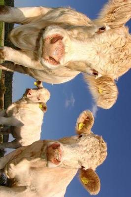 Book cover for Curious White Cows Journal