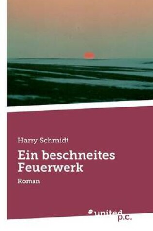 Cover of Ein Beschneites Feuerwerk