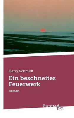 Book cover for Ein Beschneites Feuerwerk