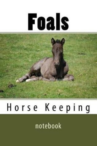 Cover of Foals