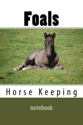 Book cover for Foals