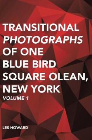 Cover of Transitional Photographs of One Blue Bird Square Olean, New York