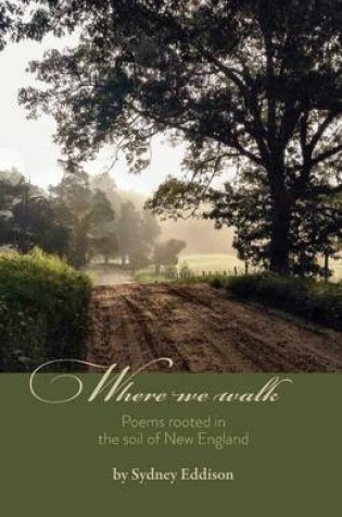 Cover of Where We Walk