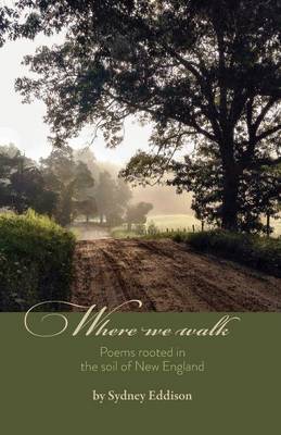 Book cover for Where We Walk