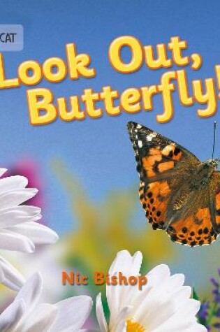 Cover of Look Out Butterfly!