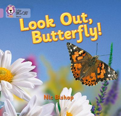 Book cover for Look Out Butterfly!