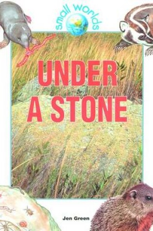 Cover of Under a Stone