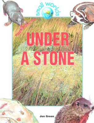 Book cover for Under a Stone