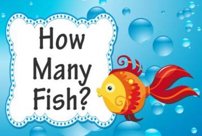 Book cover for How Many Fish?