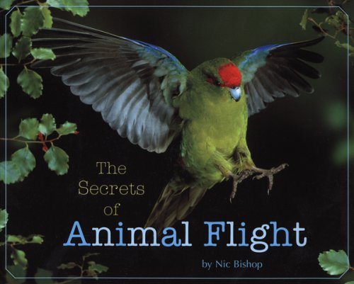 Book cover for Secrets of Animal Flight