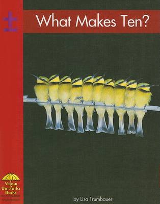 Book cover for What Makes Ten?