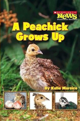 Cover of A Peachick Grows Up