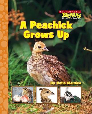 Book cover for A Peachick Grows Up