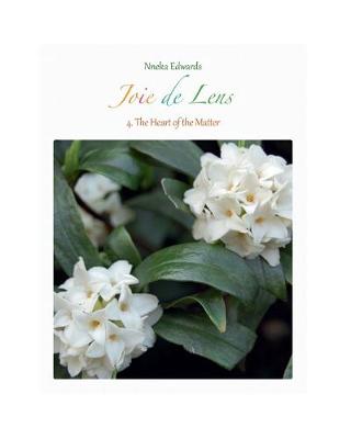 Book cover for Joie de Lens 4