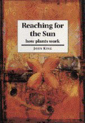 Book cover for Reaching for the Sun