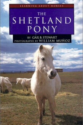 Cover of The Shetland Pony