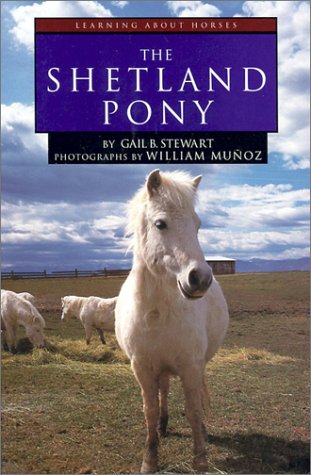 Book cover for The Shetland Pony