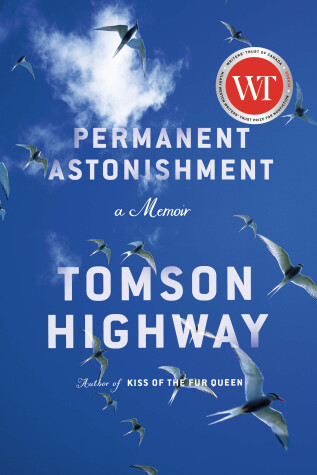 Book cover for Permanent Astonishment