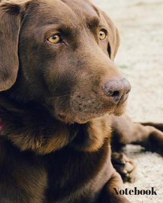 Book cover for Dog Notebook