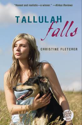 Book cover for Tallulah Falls