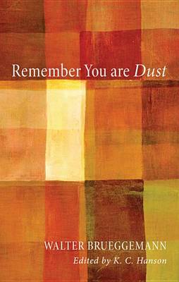 Book cover for Remember You Are Dust
