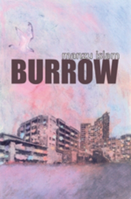 Book cover for Burrow