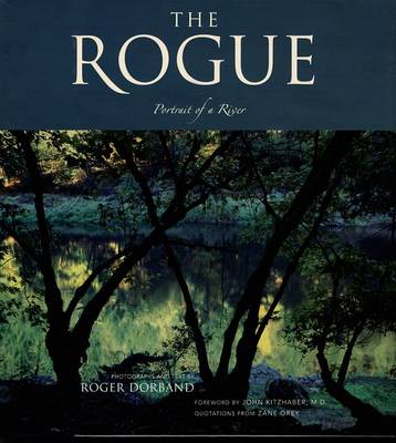 Book cover for The Rogue