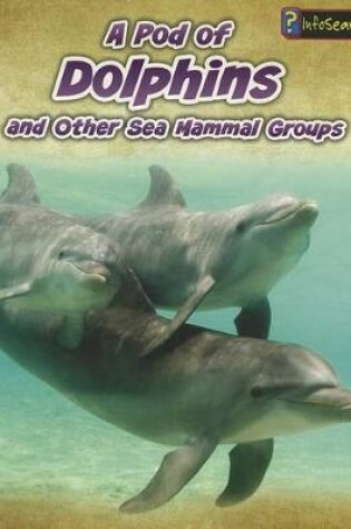 Cover of Animals in Groups Pod of Dolphins and Other Sea Mammal Groups