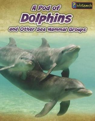 Book cover for Animals in Groups Pod of Dolphins and Other Sea Mammal Groups