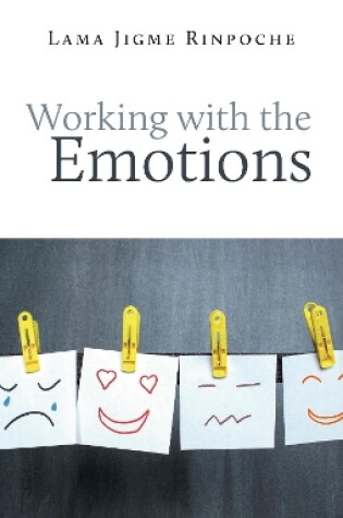 Cover of Working With the Emotions