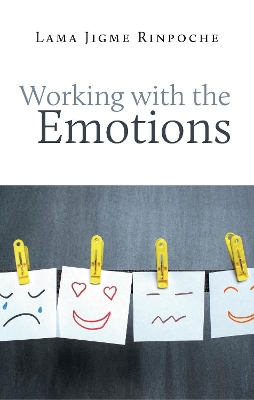 Book cover for Working With the Emotions