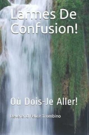 Cover of Larmes de Confusion!