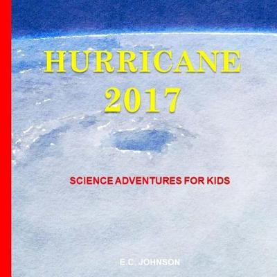 Book cover for Hurricane 2017
