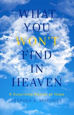 Book cover for What You Won't Find in Heaven