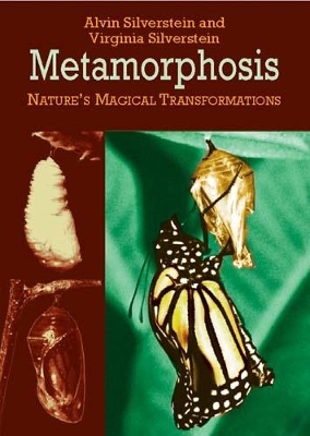 Cover of Metamorphosis