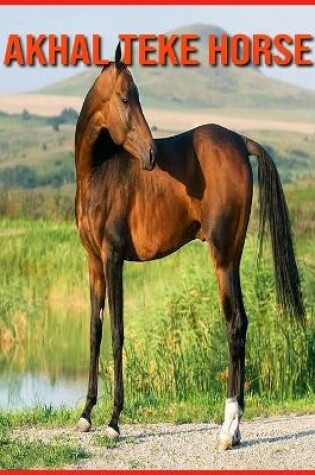 Cover of Akhal Teke Horse